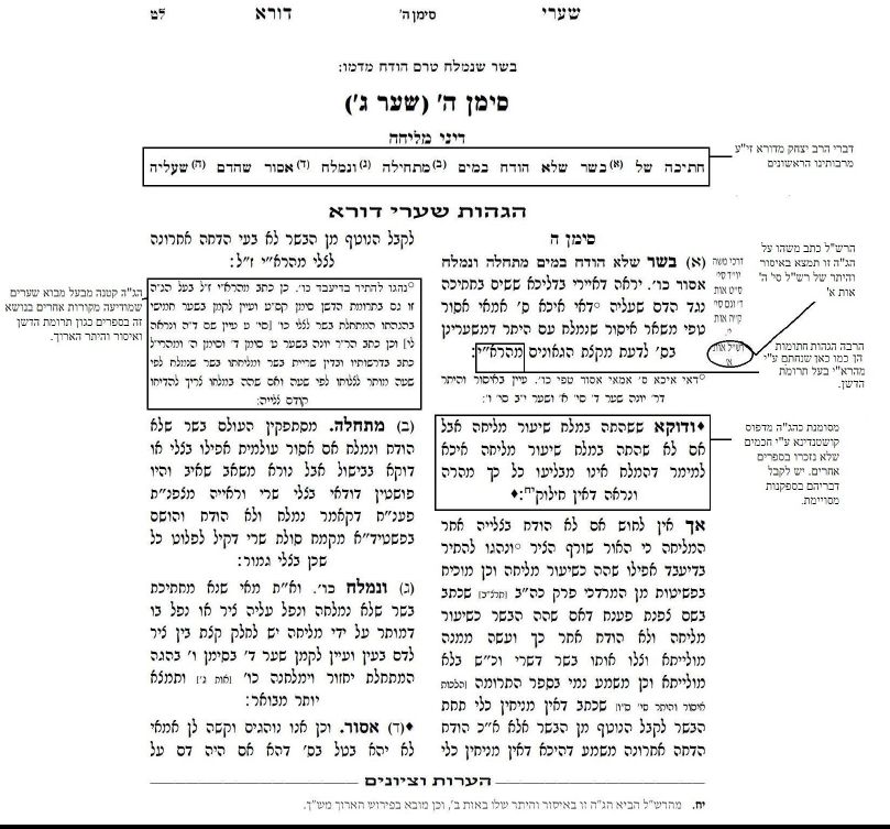 בתקווה שכולם יבינו טוב יותר את השערי דורא וההגהות